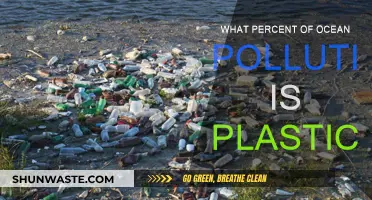 Plastic Pollution: Our Ocean's Predicament