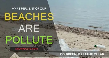 Beaches in Crisis: Pollution's Impact and Reach