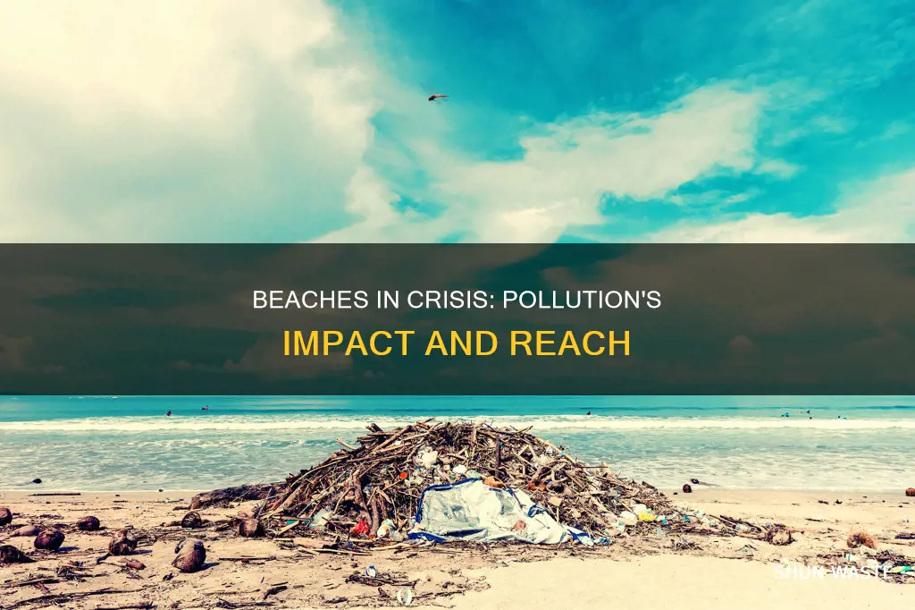 what percent of our beaches are polluted