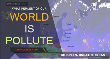 The World's Polluted State: What's the Percentage?