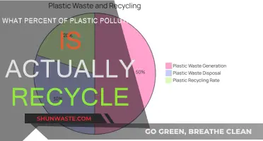The Plastic Pollution Puzzle: How Much Is Truly Recycled?