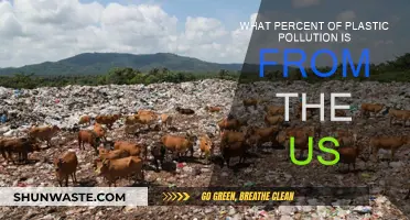 US Plastic Pollution: What's Our Share?