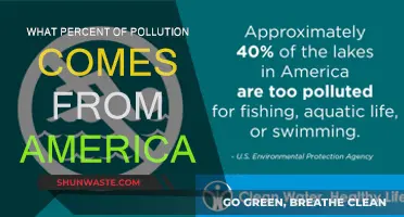 America's Contribution to Global Pollution: A Startling Percentage