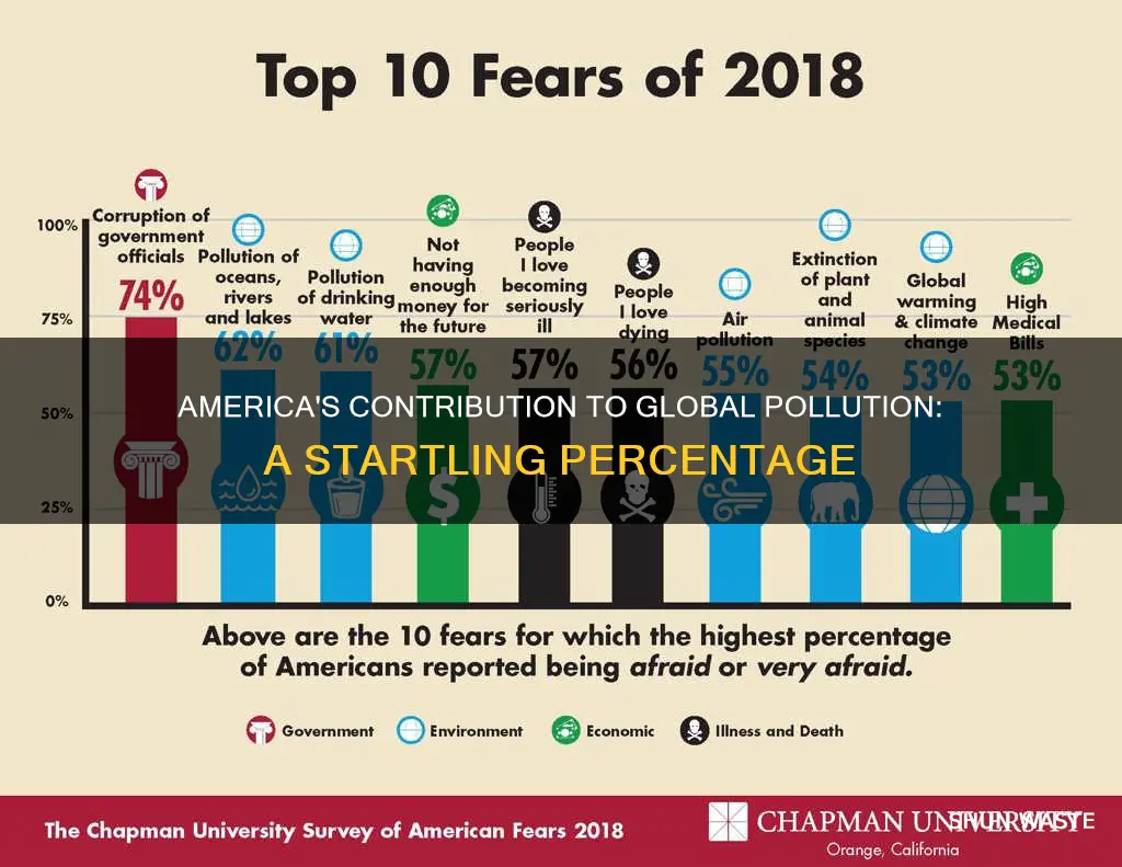 what percent of pollution comes from america
