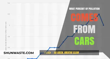 Cars' Pollution Contribution: What's the Damage?