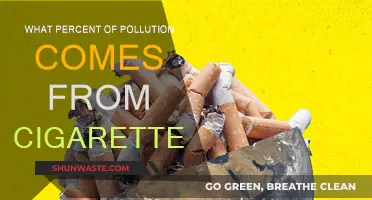 Cigarette Pollution: A Major Environmental Concern