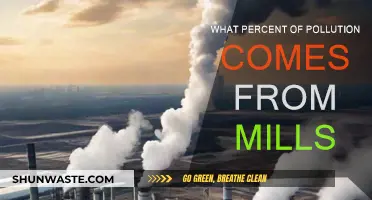 Mills' Pollution Contribution: Understanding the Percentage