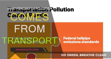 Transportation's Pollution Footprint: What's the Damage?