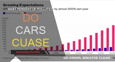 Cars' Pollution Contribution: What's the Real Damage?