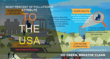 US Pollution: What's the Country's Contribution?