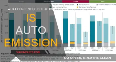 Auto Emissions: How Much Do They Pollute?
