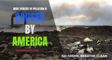 America's Share of Global Pollution: A Surprising Statistic