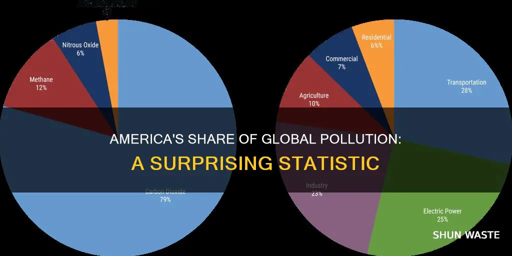 what percent of pollution is caused by america