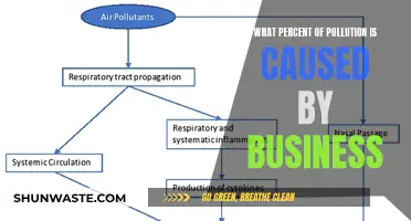 Corporate Responsibility: Uncovering the Business Impact on Environmental Pollution