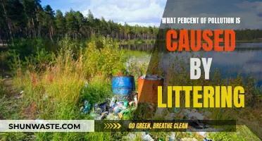 The Surprising Impact: How Littering Contributes to Environmental Pollution