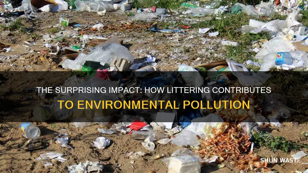 what percent of pollution is caused by littering