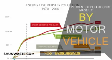 Motor Vehicles: Major Contributors to Pollution?