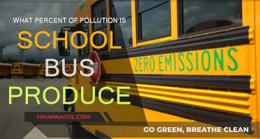School Buses: How Polluting Are They?