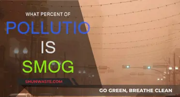 Smog Pollution: Understanding the Percentage Breakdown