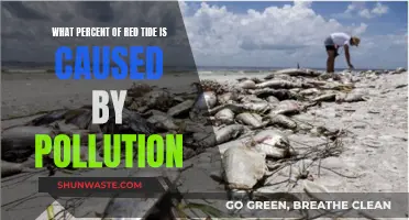 Red Tide's Pollution Impact: A Surprising Statistic