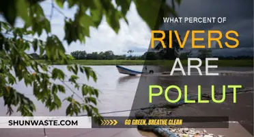 Rivers in Crisis: Pollution's Devastating Impact