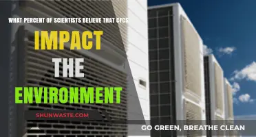 Scientists' Consensus: CFCs' Environmental Impact and the Evidence Behind It