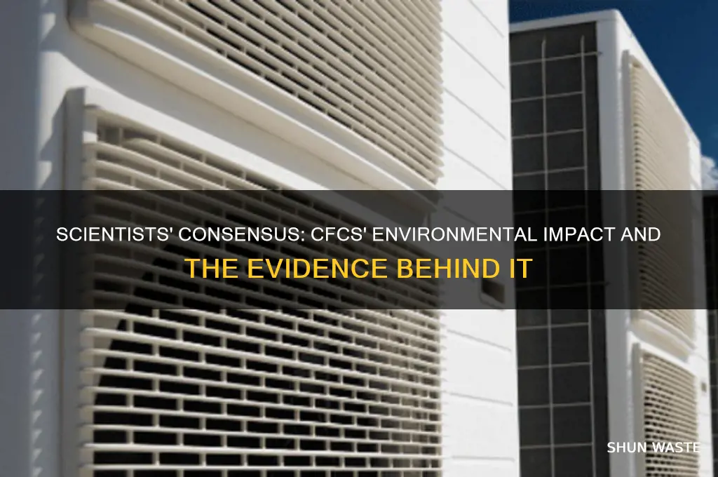 what percent of scientists believe that cfcs impact the environment