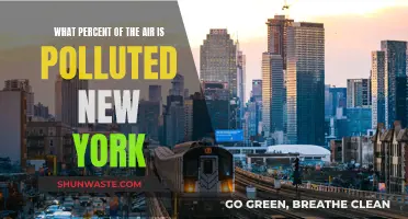 Air Quality Alert: Polluted Air in New York City