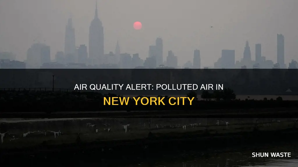what percent of the air is polluted new york