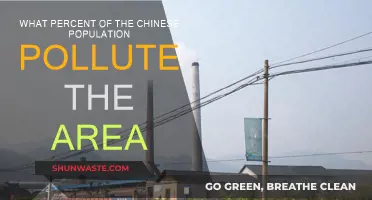 Pollution in China: Who's Responsible?