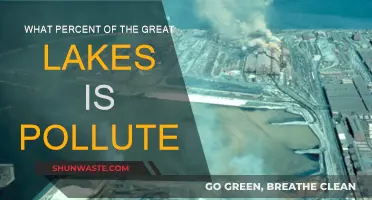 The Great Lakes: Understanding the Pollution Crisis