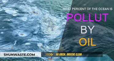 Oil Pollution in Oceans: Understanding the Devastating Impact