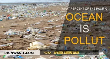 Ocean Pollution Crisis: Pacific's Percentage of Contamination