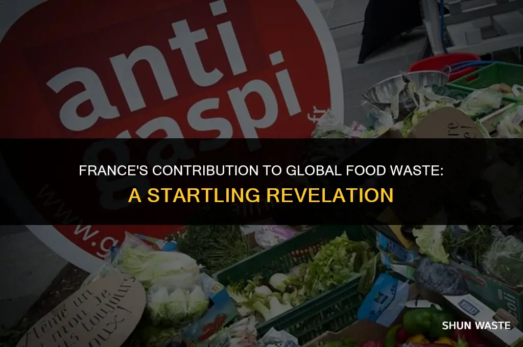 what percent of the worlds food waste is from france