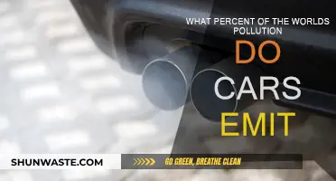 Cars: Major Culprits of Global Pollution?