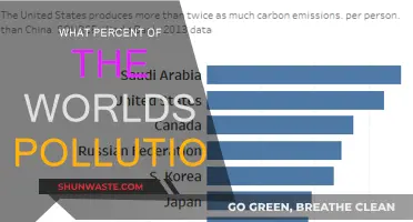 Pollution's Global Impact: What Percent is Your Country Responsible For?