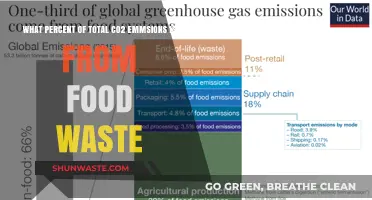 Unveiling the Surprising Impact of Food Waste on Global CO2 Emissions