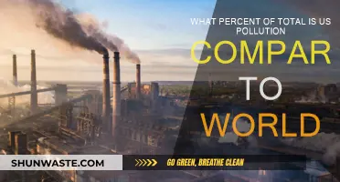 US Pollution: Global Impact Perspective