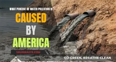 The American Impact: Uncovering Water Pollution's Hidden Costs