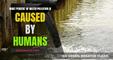 Human Impact: Unveiling the Shocking Water Pollution Statistics