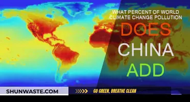China's Climate Change Pollution: What's Their Percentage?