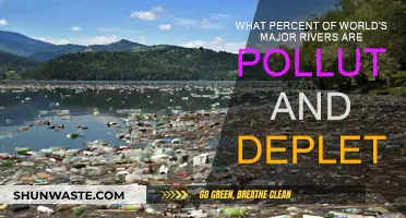 Polluted Rivers: A Global Crisis