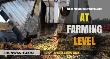 Harvesting Waste: The Hidden Costs of Food Loss at the Farm