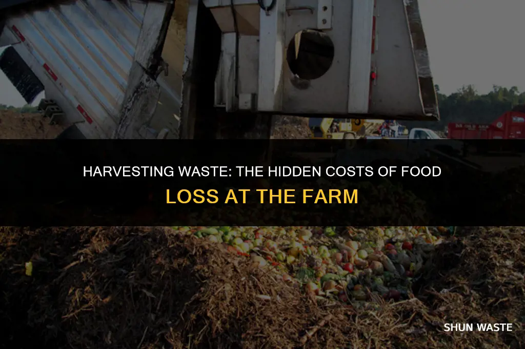 what percentage food wasted at farming level