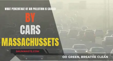 Massachussets' Car Emissions: The Surprising Share of Air Pollution