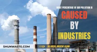 Industries' Huge Role in Air Pollution