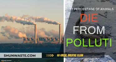Pollution's Deadly Impact on Animals: What's the Fatal Percentage?
