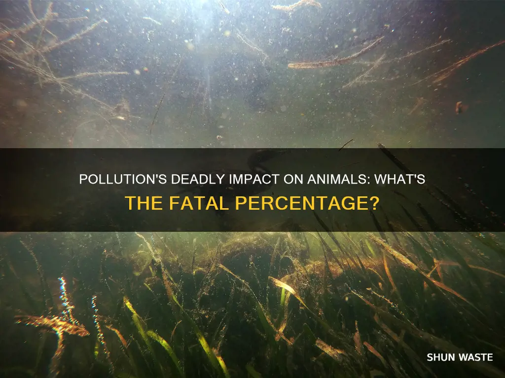 what percentage of animals die from pollution