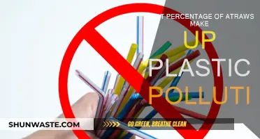 Plastic Pollution: The Shocking Truth About Straws