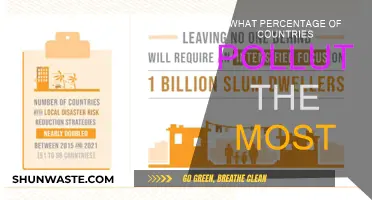 Who Pollutes the Most? Country Emissions in Perspective
